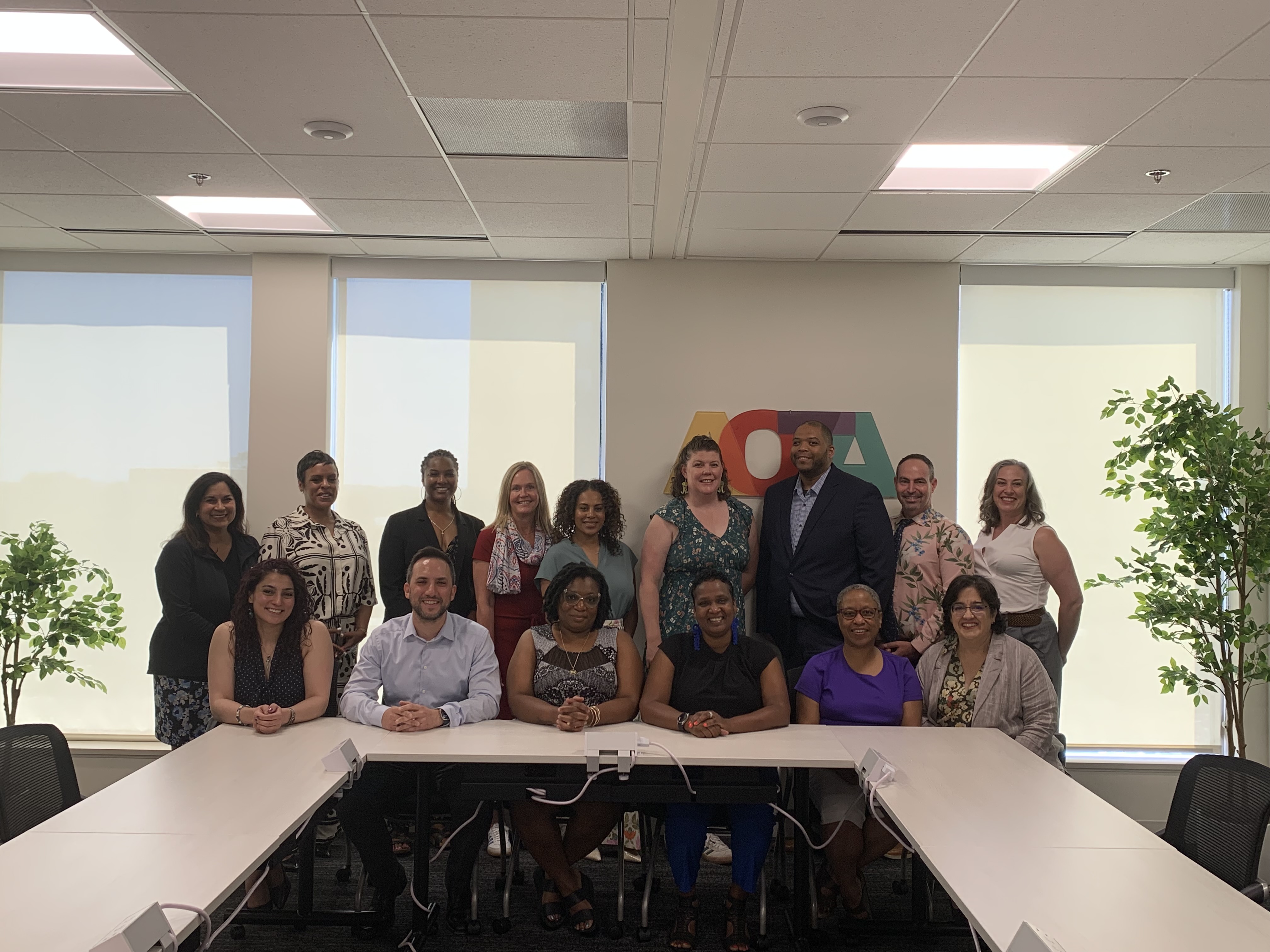 AOTA Board of Directors Term 2025-2028