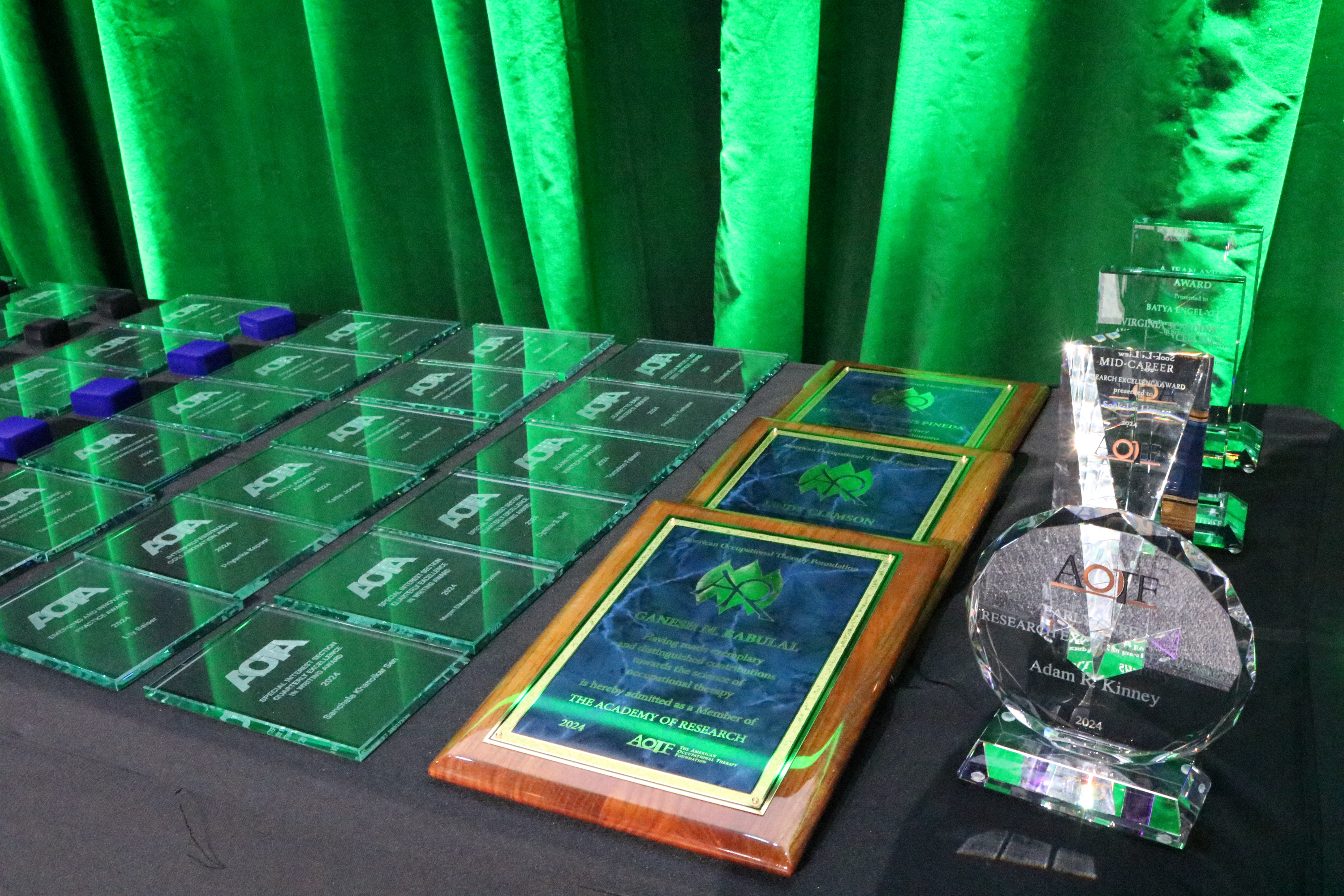 AOTA and AOTF Awards from the 2024 AOTA Awards & Recognitions ceremony