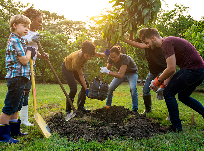 Group of adults and children outside planting a tree