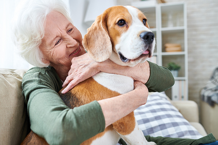 Senior woman smiling sitting on couch hugging large dog