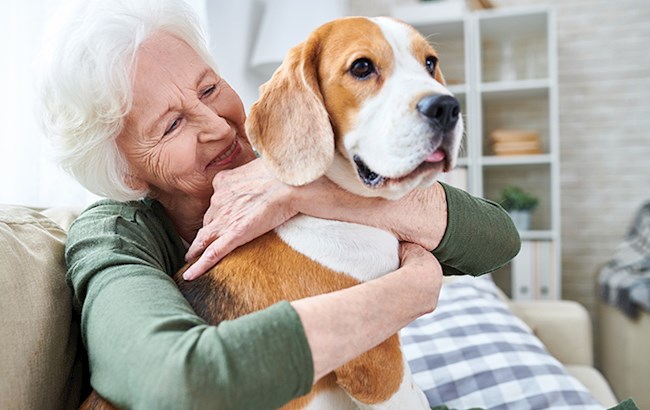 Senior woman smiling sitting on couch hugging large dog