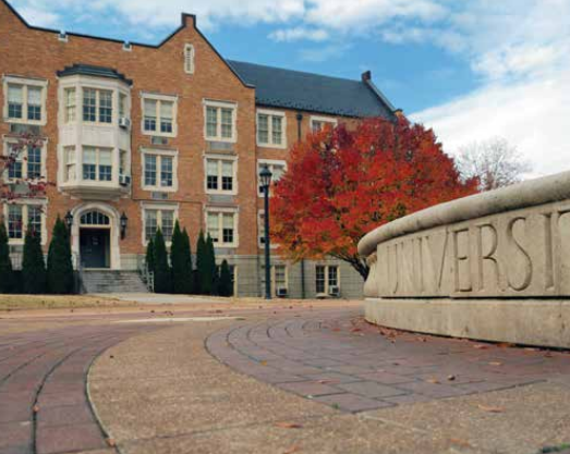 Photo of an entrance to a university or college with a red tree