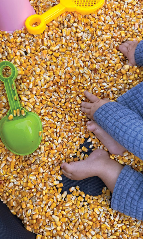 Child’s hands and feet in a bin of corn kernels with toy shovel and sifter scoop