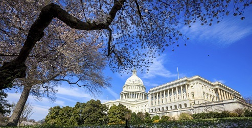 Capitol Hill in Spring