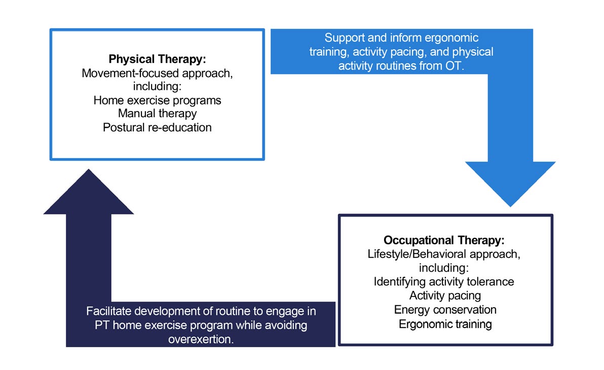 Synergistic Interdisciplinary Team Between Physical Therapy and Occupational Therapy to Treat Mark